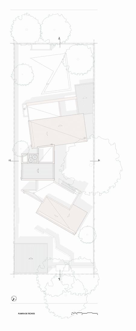 House around the Tree